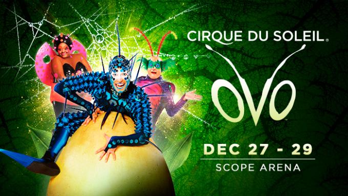 Cirque Du Soleil - Ovo at Don Haskins Center